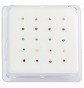 Nose Studs