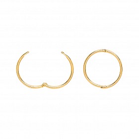 9ct Gold Hinged Hoop Earrings