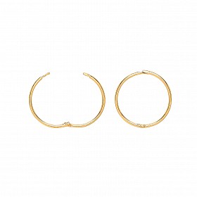 9ct Gold Hinged Hoop Earrings
