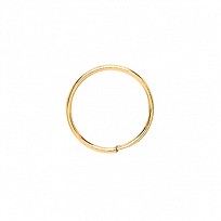 9ct Gold  Hoop Earrings