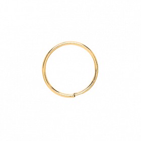 9ct Gold  Hoop Earrings