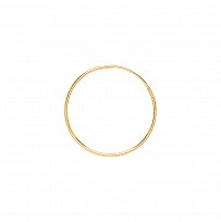 9ct Gold  Hoop Earrings
