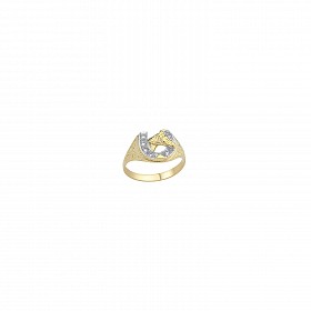 9ct Gold Gents Small Horse Shoe Ring