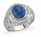 925 Sterling Silver Gents College Ring With A Sapphire Stone Centre
